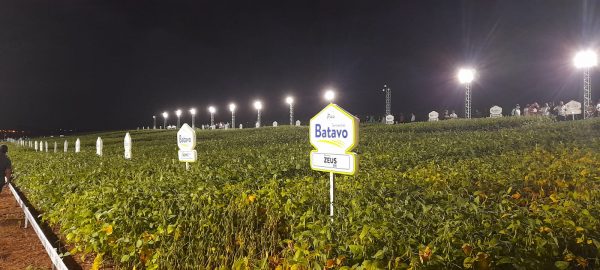 Noite da soja com diversas lavouras cultivadas