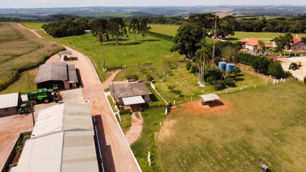 Fazenda Pau Furado comercializa crédito de soja