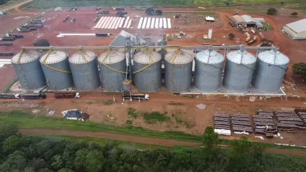 Unidade da Frísia no Tocantins