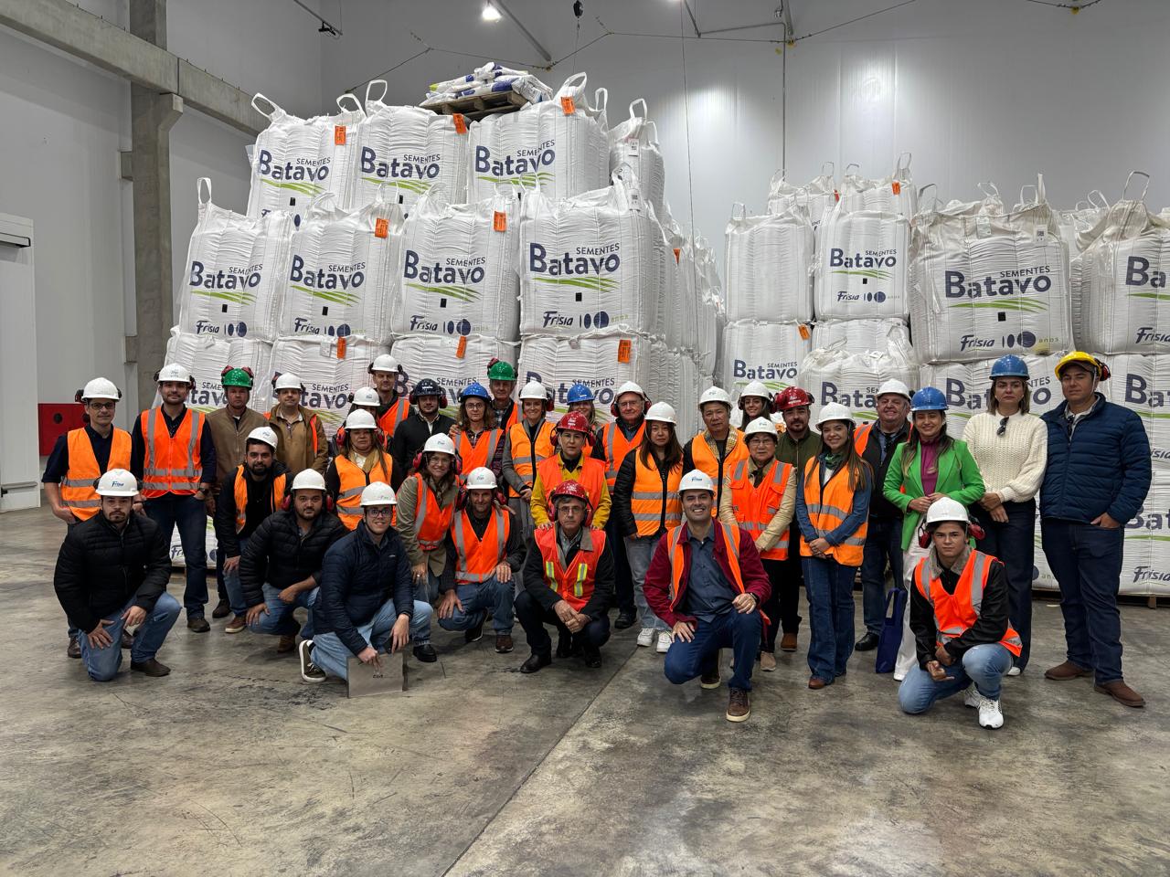 sementes batavo
